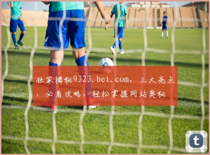 独家揭秘9323.bet.com，三大亮点，必看攻略，轻松掌握网站奥秘