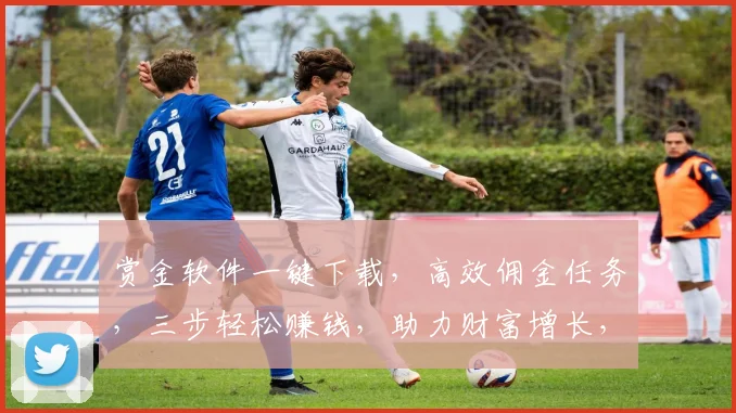 赏金软件一键下载，高效佣金任务，三步轻松赚钱，助力财富增长，必备神器