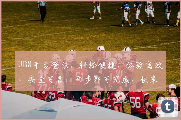 UB8平台登录，轻松便捷，体验高效，安全可靠，两步即可完成，快来加入我们
